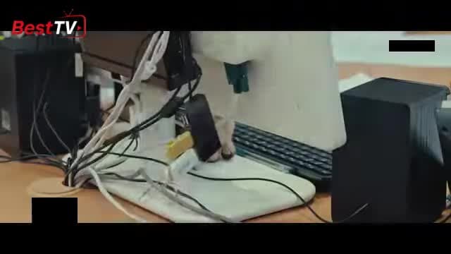 5-р анги