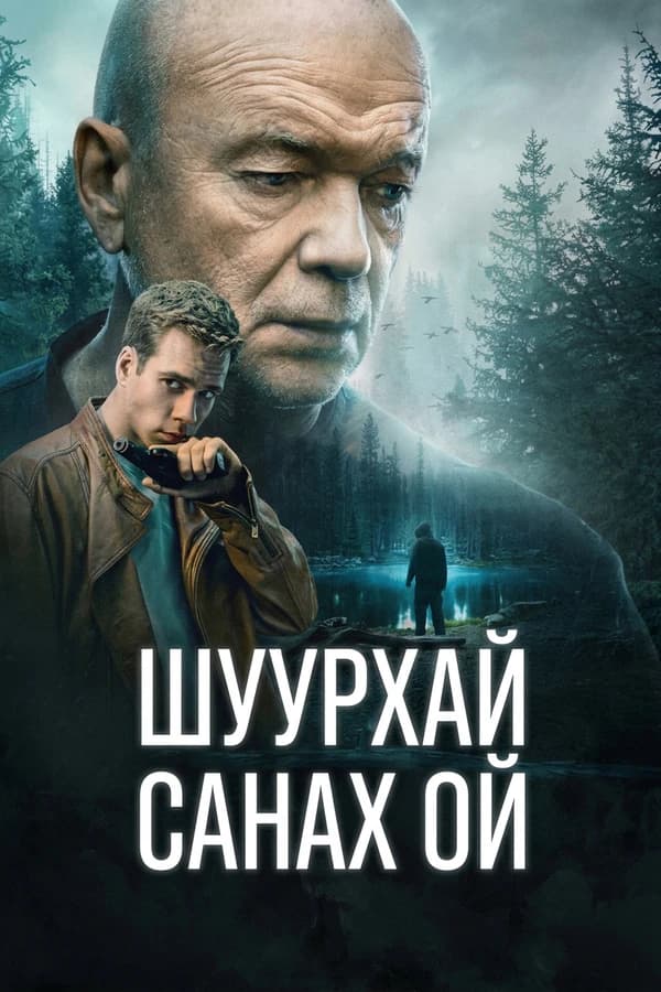 Шуурхай санах ой